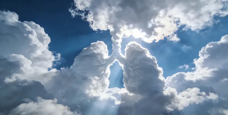 六安肺癌12基因ctDNA突变检测(血液）图片1