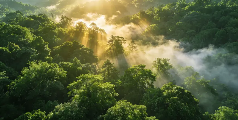 六安肺癌靶向39基因检测（组织）图片1