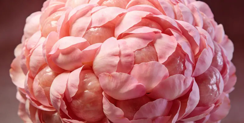 六安BRCA1/2乳腺癌卵巢癌基因检测图片1